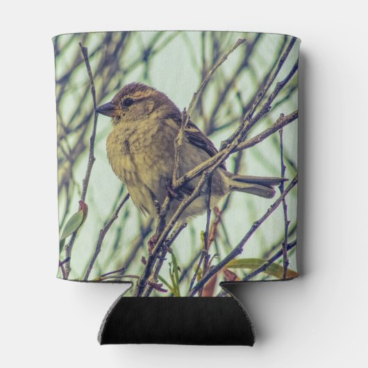 Sparrow in Tree Photo Blikjeskoeler (Achterkant)