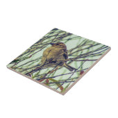 Sparrow in Tree Tegeltje (Zijkant)