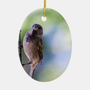 Sparrow Moment for Me Keramisch Ornament