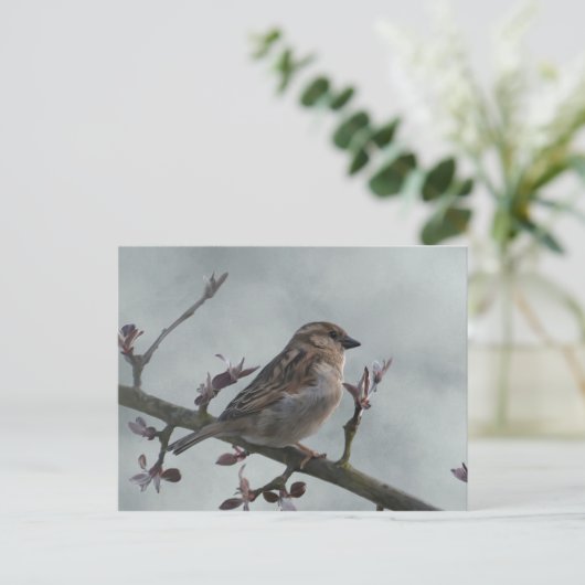 Sparrow on Branch Briefkaart (Staand voorkant)
