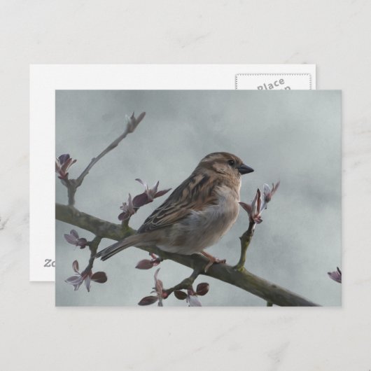 Sparrow on Branch Briefkaart (Voorkant / Achterkant)