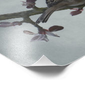 Sparrow on Branch Foto Afdruk (Hoek)