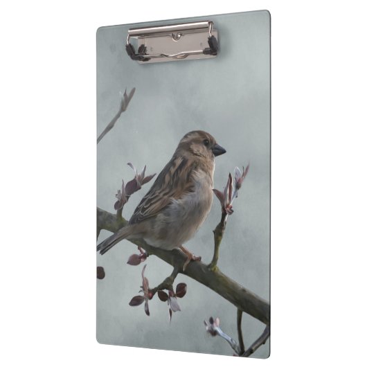 Sparrow on Branch Klembord (Links)