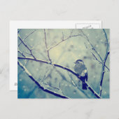 Sparrow on the snowy tak briefkaart (Voorkant / Achterkant)