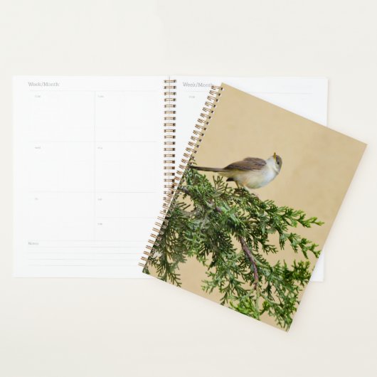 Sparrow Planner (Display)