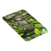 Sparrow Spring Lilacs Magnet Magneet (Rechterzijde)