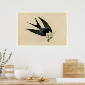 Sparrow tayed Hawk Poster (Keuken)