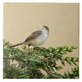 Sparrow Tegeltje (Voorkant)