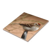 Sparrow Tegeltje (Zijkant)