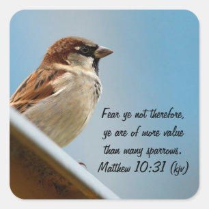 Sparrow Vierkante Sticker