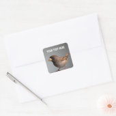 Sparrow Vierkante Sticker (Envelop)
