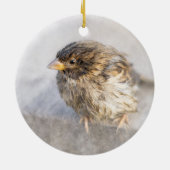 Sparrow - Weer Forecast Epic Fail Keramisch Ornament (Achterkant)