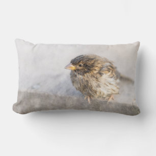 Sparrow - Weer Forecast Epic Fail Kussen
