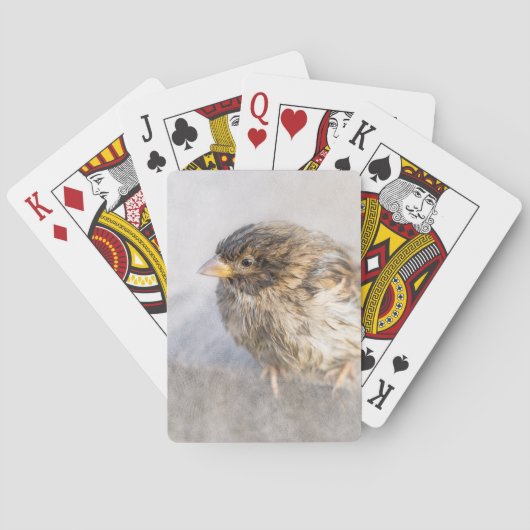 Sparrow - Weer Forecast Epic Fail Pokerkaarten (Achterkant)