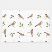 Sparrow Wrapping paper voor elke speciale gelegenh (Voorkant 3)