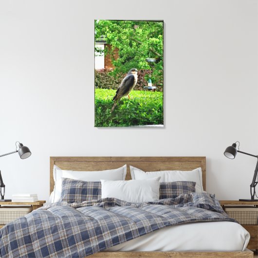 Sparrowhawa in mijn tuin canvas afdruk (Insitu (Slaapkamer))
