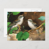 Sparrows Briefkaart (Voorkant / Achterkant)