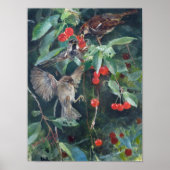 Sparrows in a Cherry Tree, Bruno Liljefors Poster (Voorkant)