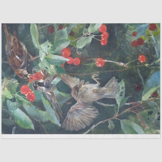 Sparrows in a Cherry Tree, Bruno Liljefors Tissuepapier (Voorkant)