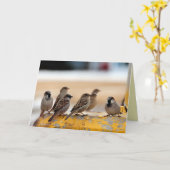 Sparrows Kaart (Gele Bloem)