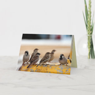 Sparrows Kaart