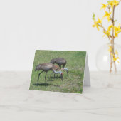 Spatie binnen, het Lopen van de Kranen van Florida Kaart (Gele Bloem)