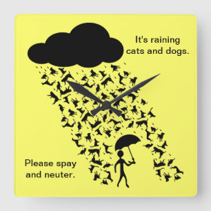 "Spay and Neuter" wandklok Vierkante Klok