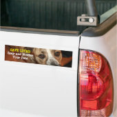 Spay en Neuter. Bumpersticker (Op Truck)