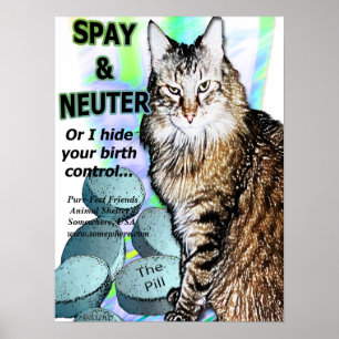 Spay en neuter (of ik verstop je geboortebeperking poster