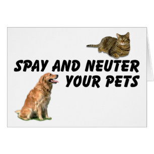 Spay et Neuter