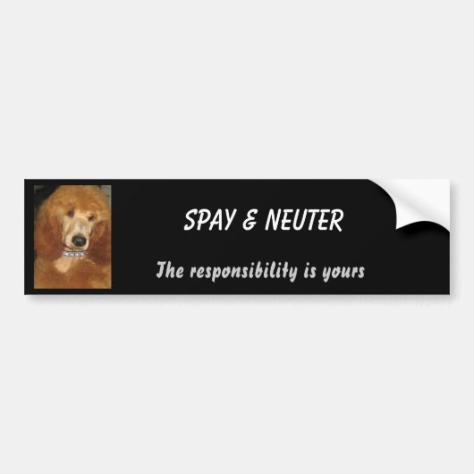 Spay & Neuter bumper sticker (Voorkant)