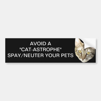 Spay/Neuter-Bumpersticker Bumpersticker