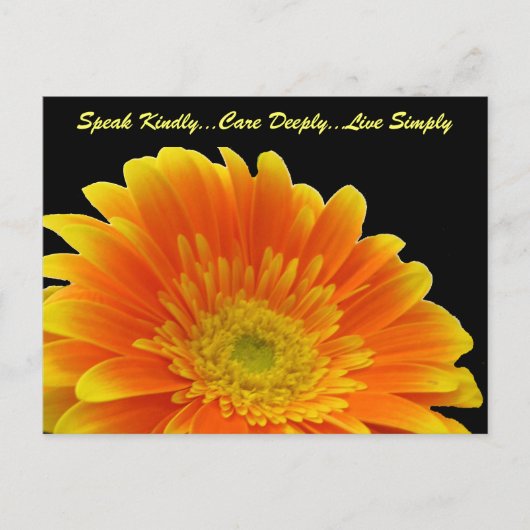 Speak Kindly Gerbera Briefkaart (Voorkant)