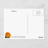 Speak Kindly Gerbera Carte Postale (Dos)