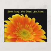 Speak Kindly Gerbera Carte Postale (Devant)