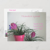 Speak Kindly Pink Quill Briefkaart (Voorkant / Achterkant)