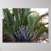 Speaker gevangen in Nipa Palm op het schiereiland  Poster (Voorkant)