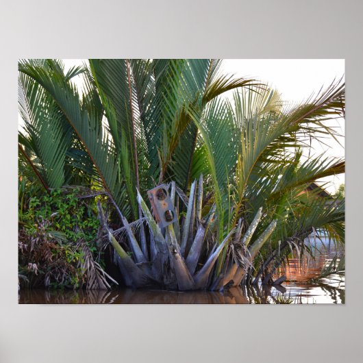Speaker gevangen in Nipa Palm op het schiereiland  Poster (Voorkant)