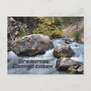 Spearfish Canyon Creek Briefkaart