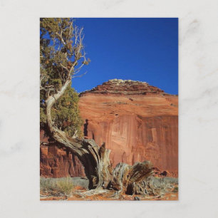 Spearhead Mesa in Monument Valley Briefkaart