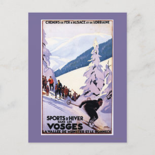 Specerijen die op het Poster van de Skier letten Briefkaart