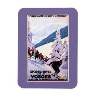 Specerijen die op het Poster van de Skier letten Magneet