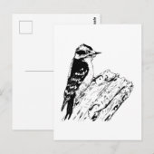 Specht Briefkaart (Voorkant / Achterkant)