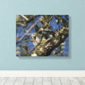 specht canvas (Insitu (Houten vloer))