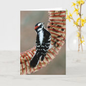 Specht Kaart (Gele Bloem)