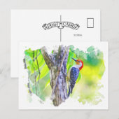 Specht klampt zich vast aan boom briefkaart (Voorkant / Achterkant)