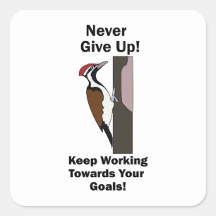 Specht Nooit Opgeven Inspirerend Vierkante Sticker