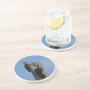 Specht op een paal zandsteen onderzetter