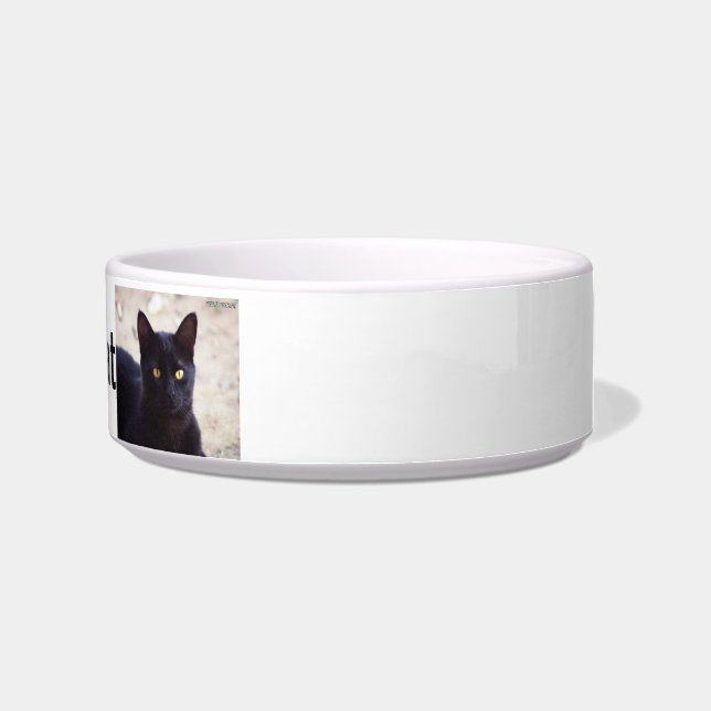 Speciaal Cat Bowl Voerbakje (Rechts)