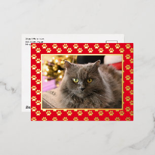 Speciaal gepersonaliseerd fotopapier Meowy kerstgo Folie Feestdagen Briefkaart